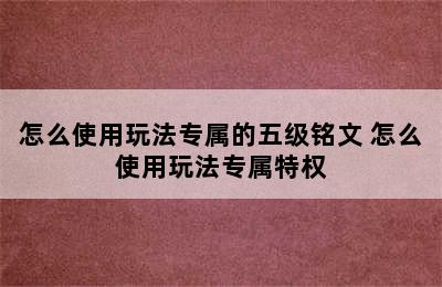 怎么使用玩法专属的五级铭文 怎么使用玩法专属特权